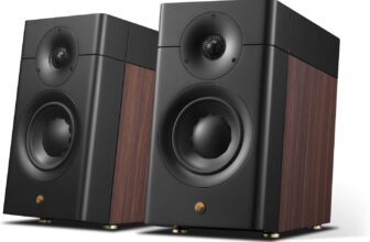 HiVi-Swans D3.1 MKII passive bookshelf speaker with 6.5-inch driver and soft dome tweeter, high-fidelity stereo sound for audiophiles under $600.