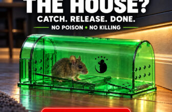 Humane no-kill mouse trap, catch and release: green reusable live mouse trap with a mouse inside on a wood floor, headline Mice in the house? Catch. Release. Done. No poison, no killing - Motel Mouse 4-pack on Amazon, TheBest Online deals