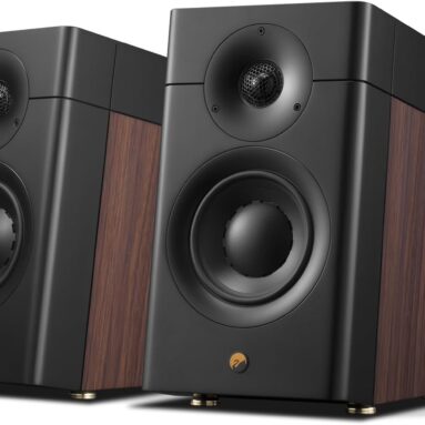 HiVi-Swans D3.1 MKII – Still the $550 Audiophile Speakers That Break All the Rules
