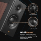 HiVi-Swans D3.1 MKII Review: The $550 Speakers That Crush Competition