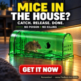 Motel Mouse Humane Mouse Traps 4-Pack: No-Kill Catch & Release for $21.99 (Amazon’s Choice)