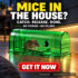 How to Remove Opossums, Rats, Mice and Squirrels Humanely: Traps, Bait and a Complete DIY Video Guide