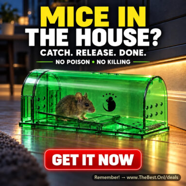 Motel Mouse Humane Mouse Traps 4-Pack: No-Kill Catch & Release for $21.99 (Amazon’s Choice)